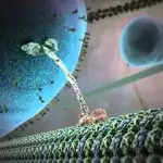 Our Micro-Macro Universe